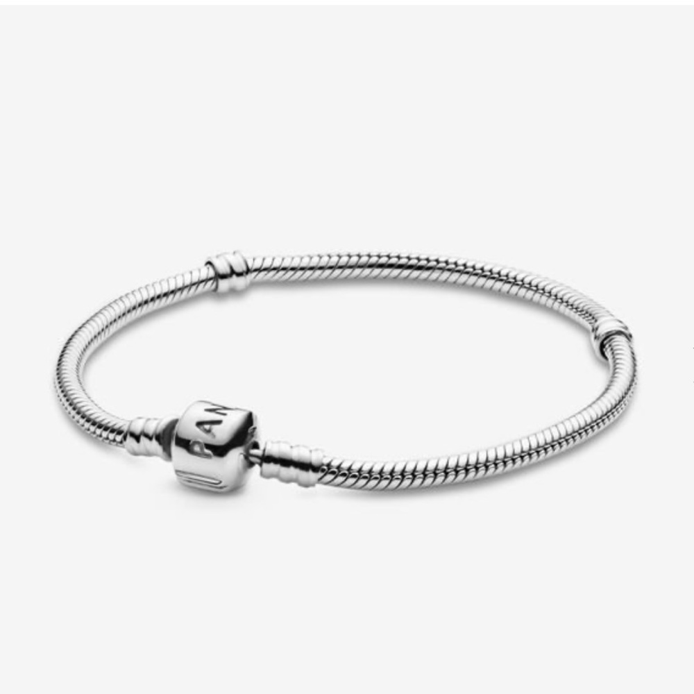 Pandora Charm Bracelet